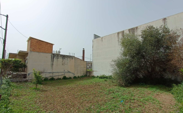 IMG-6d83863ffae28059dfd1473d261bf115-V